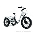 XY-Trio Deluxe fat tire electric tilting tricycle